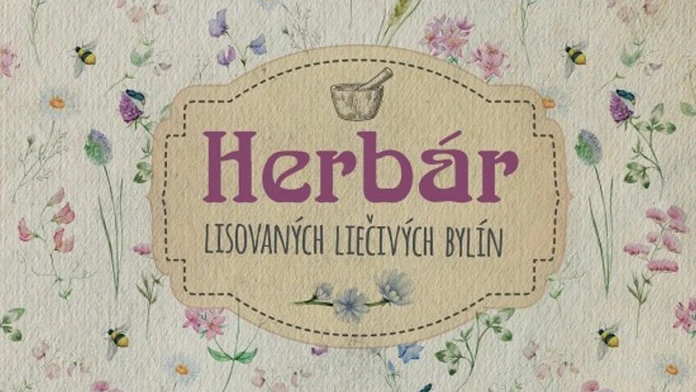 Obálka knihy.