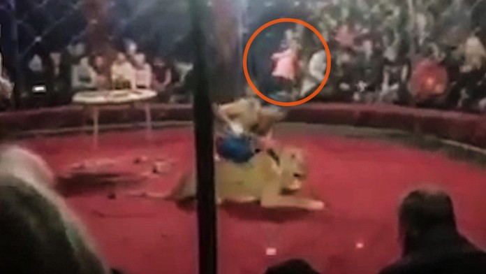 Levica tesne pred útokom na dievčatko.