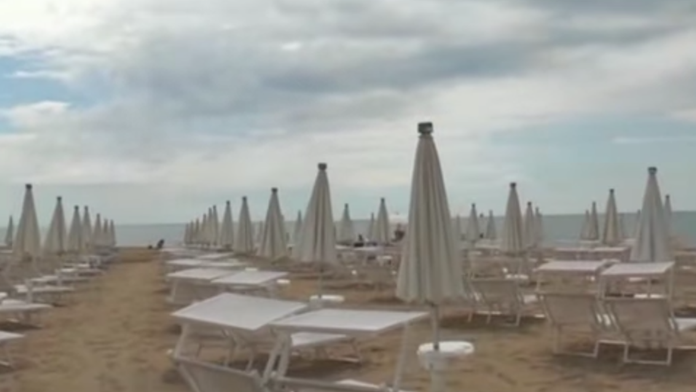 Takto solárne slnečníky vyzerajú.