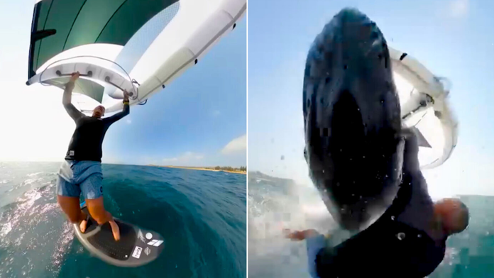 VIDEO: Desivá zrážka na mori. Pred mužom na wingsurfe sa zrazu vynorila veľryba