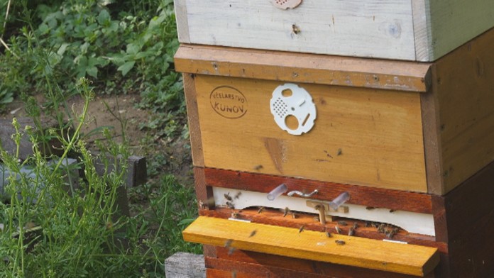 Nadiem Amiri z Hoffenheimu oslavuje gól na pôde Monchengladbachu.