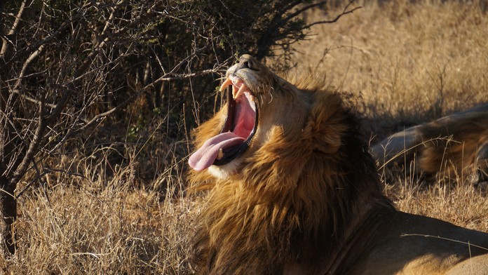 Ilustračná snímka.