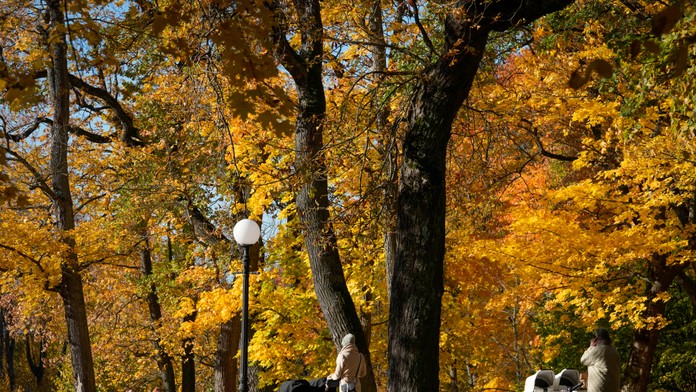 Vysokým teplotám odzvoní, je čas vytiahnuť kabáty. Meteorológ priblížil, aké počasie nás čaká na Dušičky