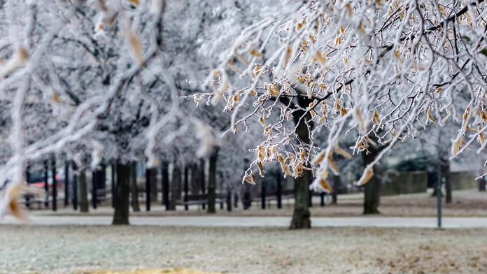 Niektoré časti Slovenska čaká poriadne mrazivá noc. V týchto okresoch bude až do -20 stupňov