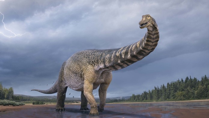 Australotitan cooperensis.jpg