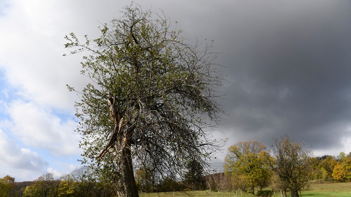 Zlínsky senátor František Čuba. 