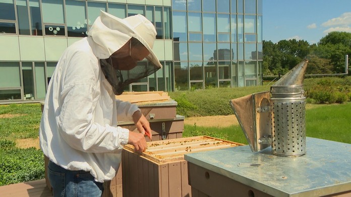 Irena Bihariová počas rozhovoru.