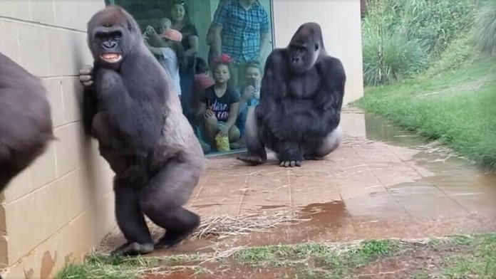 Krajší s Teleránom