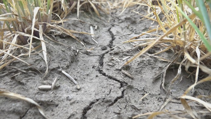 19 Korona ludia v sluzbach.transfer_tvnoviny.mp4