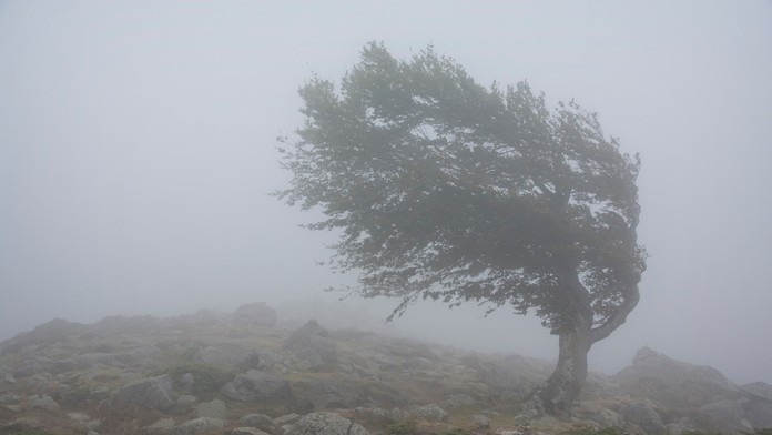 Turistiku radšej vynechajte. Pre tri okresy platí výstraha najvyššieho stupňa pred vetrom na horách