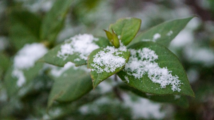 Ilustračná snímka.