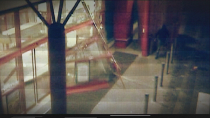 Auto po zrážke s diviakmi 