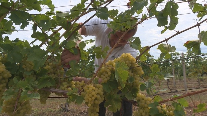 TR moderatori_KOMPLET.mp4