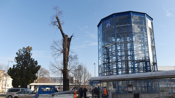 Na snímke prvá cykloveža na Slovensku, ktorú otvorili pri Železničnej stanici v Trnave 