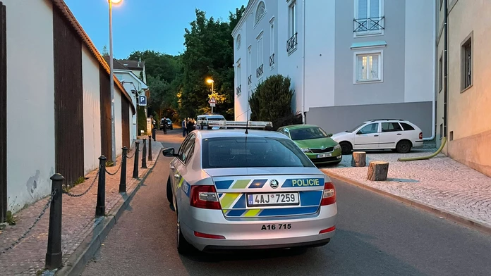 Česká polícia.