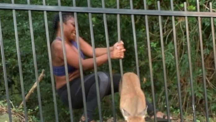 Ilustračná snímka.