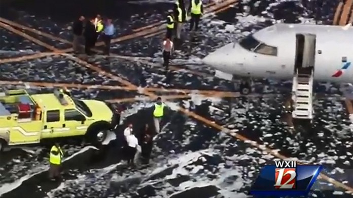 Lietadlo zrazilo jeleňa.