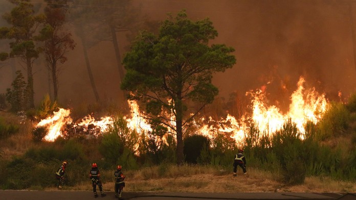 Požiare v Dalmácii sa podarilo dostať pod kontrolu. Jeden z nich vznikol v dôsledku nedbanlivosti včelára