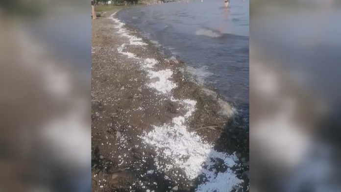 Na Zemplínskej Šírave sú pláže plné polystyrénových guličiek.