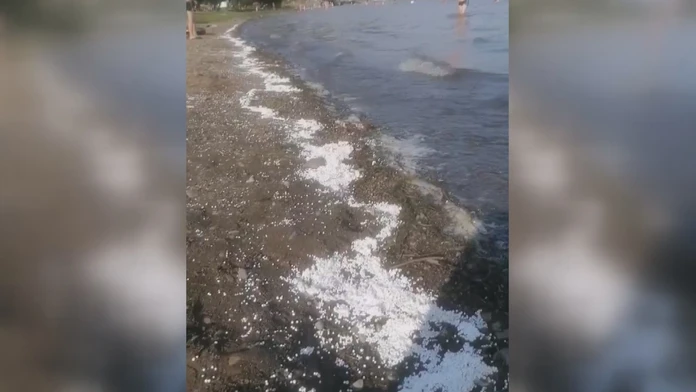 Na Zemplínskej Šírave sú pláže plné polystyrénových guličiek.