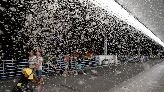 Na snímke Kolonádový most cez rieku Váh počas večerného rojenia podeniek