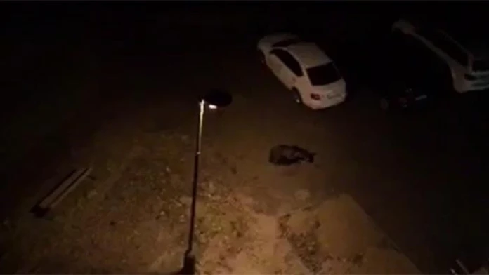 Medveď v Starom Smokovci.