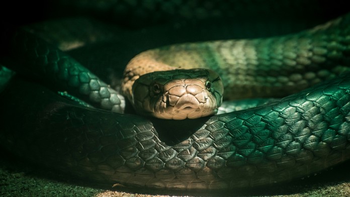 Za premenou stojí Martin Tyl, ktorý neodolal a parochňu si sám vyskúšal.