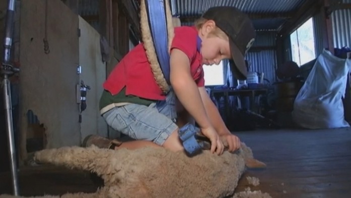 Najmladší strihač ovcí na svete.