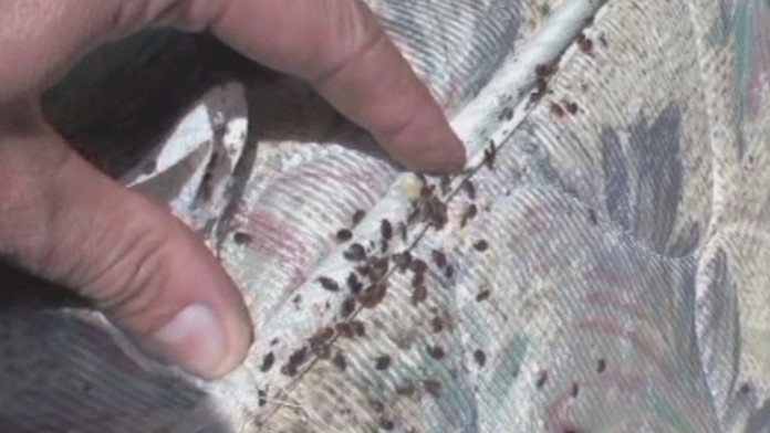 Ilustračná snímka.