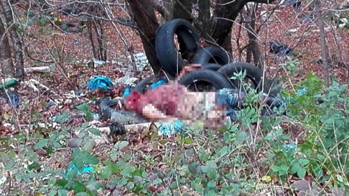 Mŕtvola muža pohodená na smetisku na Pezinskej Babe.