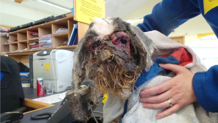 DVnadazdi_markiza_sk_bez_loga.mp4