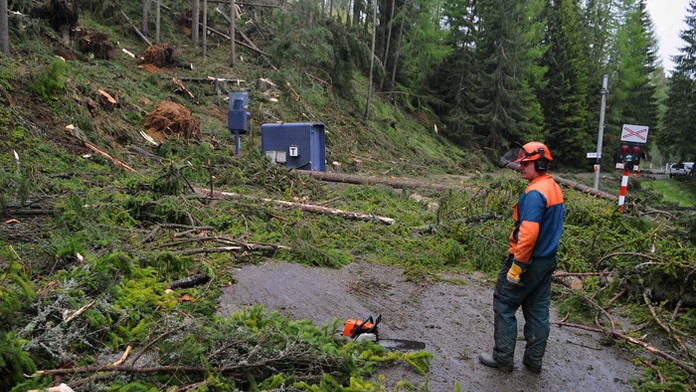 Pilčík počas odstraňovania spadnutých stromov z cesty Slobody neďaleko Vyšných Hágov 