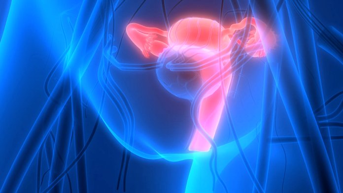 Ilustračná snímka.