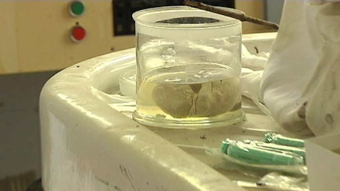 19 PN Hrozny nalez.transferweb_jpg_bez_watermarku_1.jpg