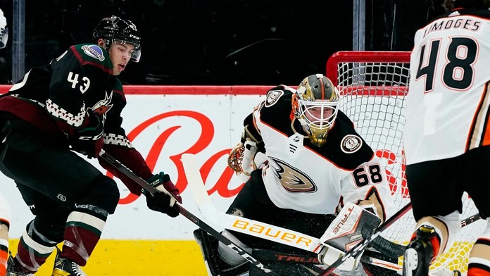 Roman Durný v bráne Anaheimu v zápase nádejí proti Arizone.