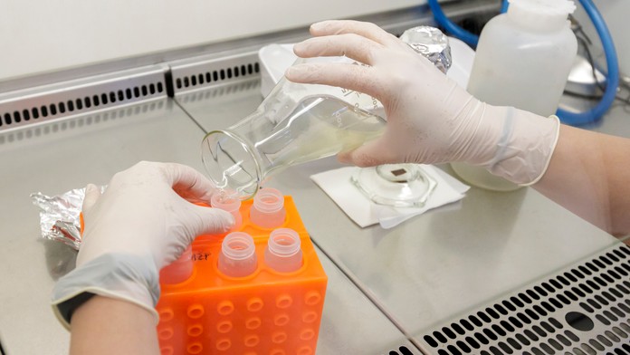 Prelomový objav, univerzálna vakcína proti chrípke je na dosah, tvrdia lekári