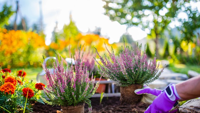 Ilustračná snímka