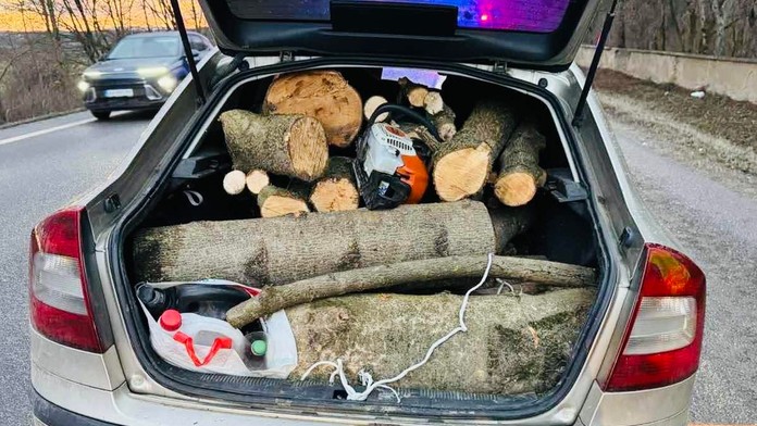 Drevo v aute po nehode