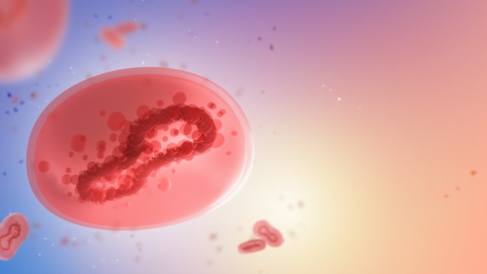 Česko hlási prvý potvrdený prípad opičích kiahní. Zisťovali sme, aká je situácia na Slovensku