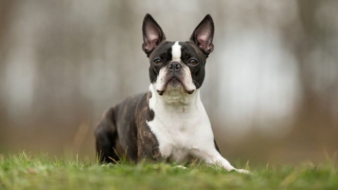 Ilustračná snímka.