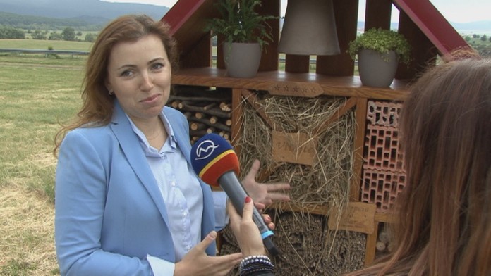 Postavili aj hotel pre včely.