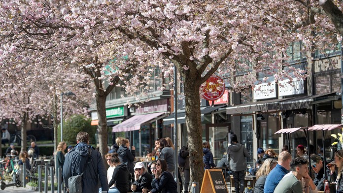 Monika Bagárová, Paľo Habera