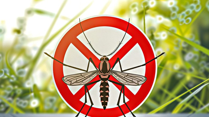 Vedci našli svojráznu, no mimoriadne efektívnu zbraň proti komárom