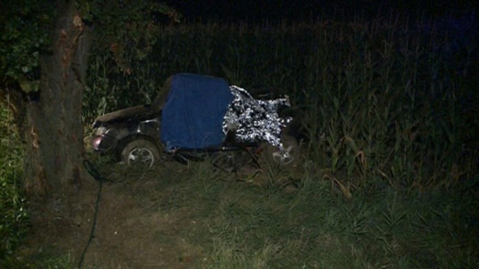 Nehoda medzi Vrábľami a Telincami.