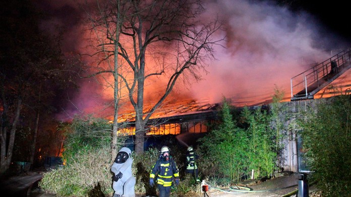 Hasiči stoja pred zhoreným objektov v zoo v nemeckom Krefelde.