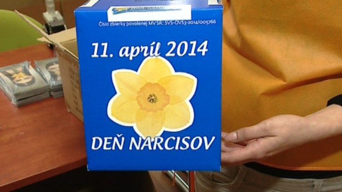 17 Narcisy den pred DEMO.transferweb_jpg_bez_watermarku_1.jpg