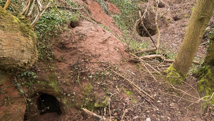Vchod pripomína zajačie diery.