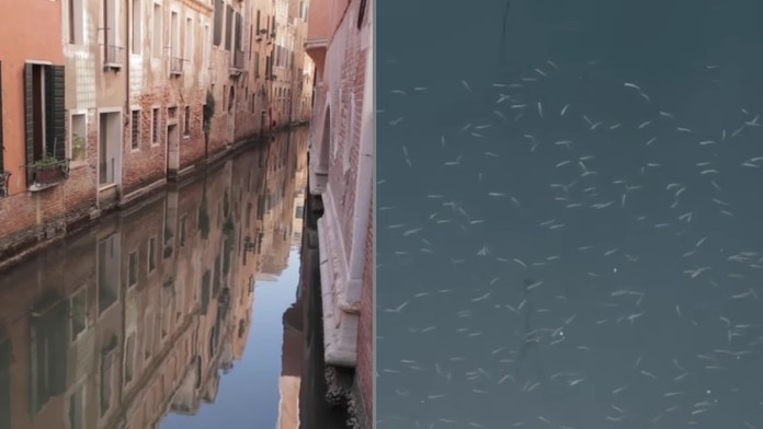 17 zahr skusaju vakcinu priklik_tvnoviny.mp4