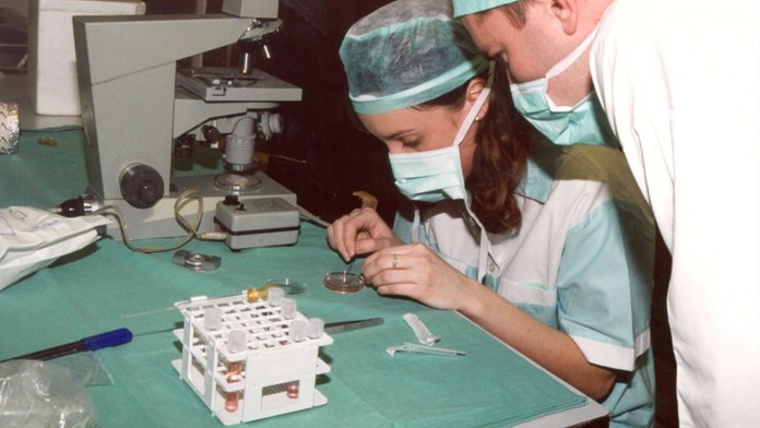 Umelé oplodnenie (ilustračná snímka)