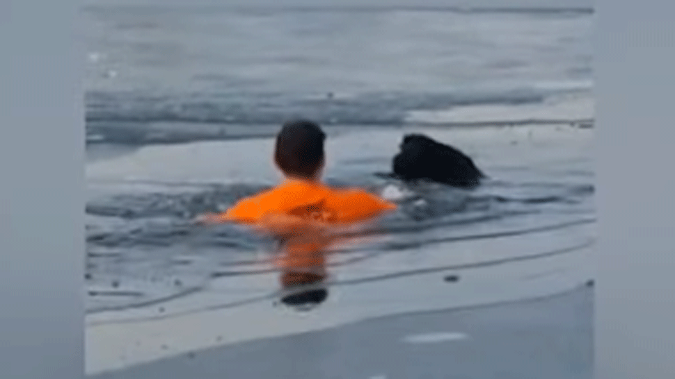 10 MIN FEHERVARY OPRAVA.mp4